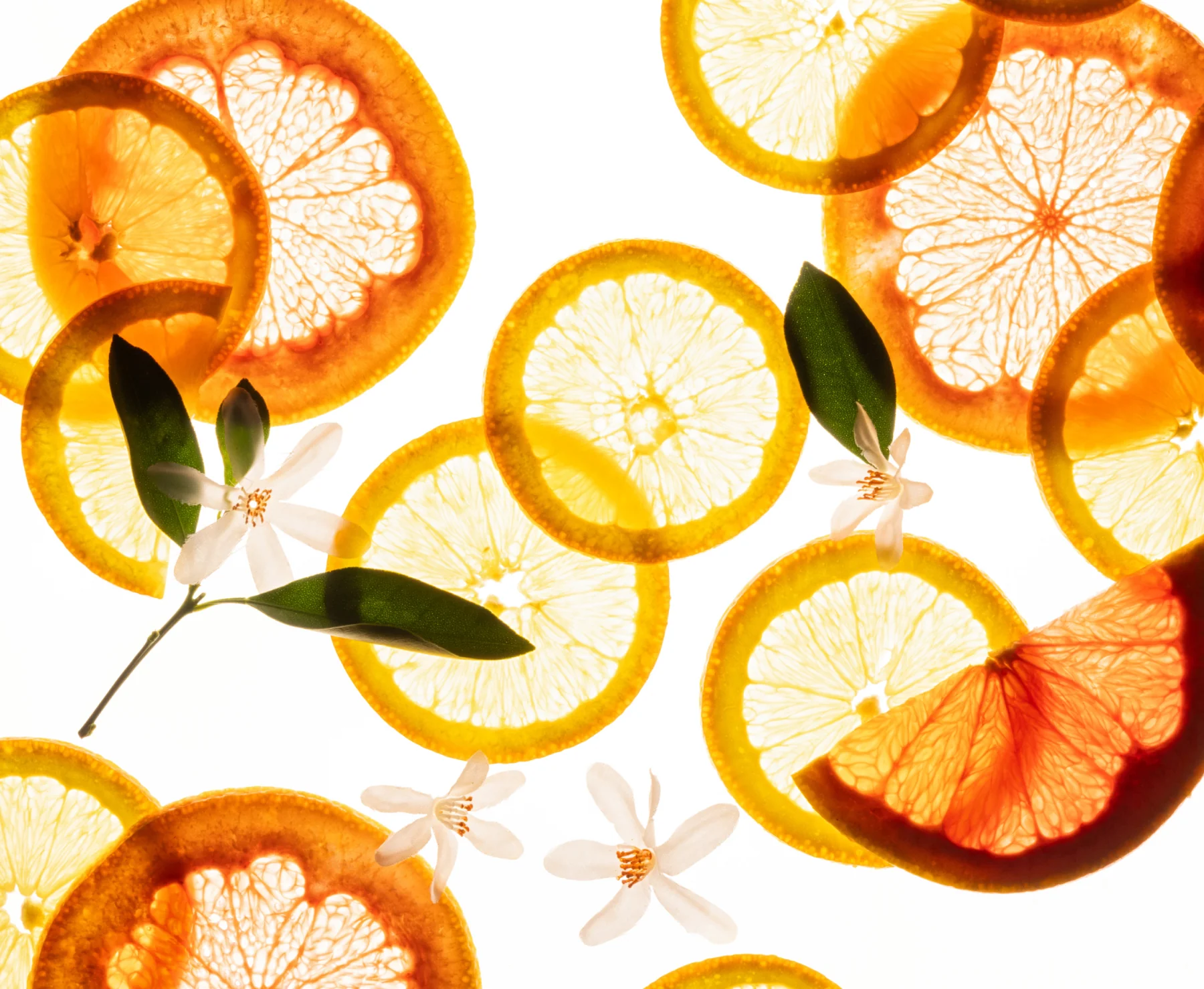 Hand Sanitizer Citrus Grove