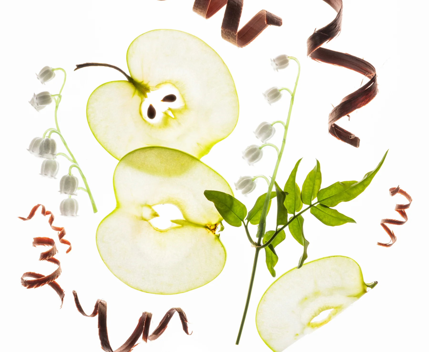 Hand Sanitizer Applelicious