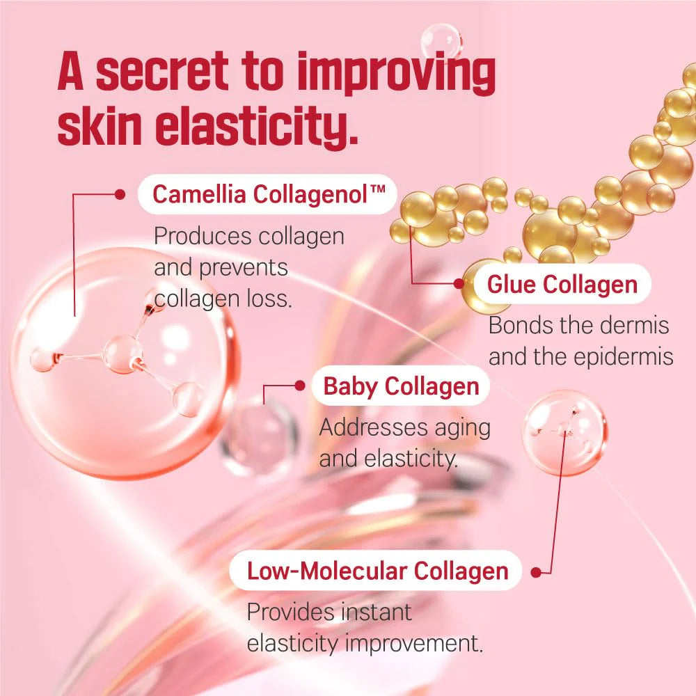 Round Lab Camellia Deep Collagen Firming Ampoule [30ml]